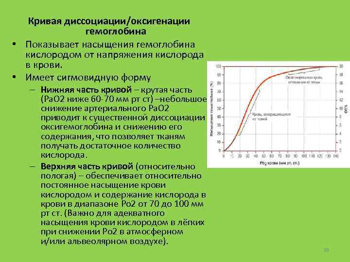 Кривая диссоциации/оксигенации гемоглобина • Показывает насыщения гемоглобина кислородом от напряжения кислорода в крови. •