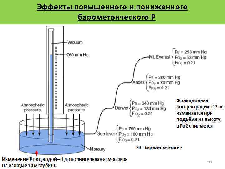 Эффекты повышенного и пониженного барометрического Р 54 