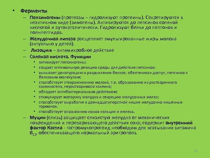  • Ферменты – Пепсиногены (протеазы – гидролизуют протеины). Секретируются в неактивном виде (зимогены).