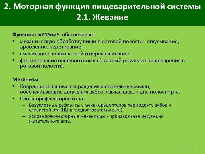 2. Моторная функция пищеварительной системы 2. 1. Жевание Функции: жевание обеспечивает • механическую обработку