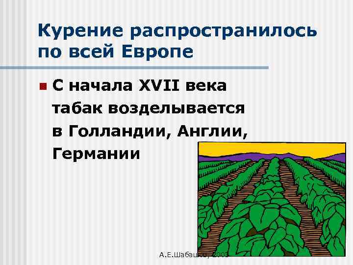 Курение распространилось по всей Европе n С начала XVII века табак возделывается в Голландии,
