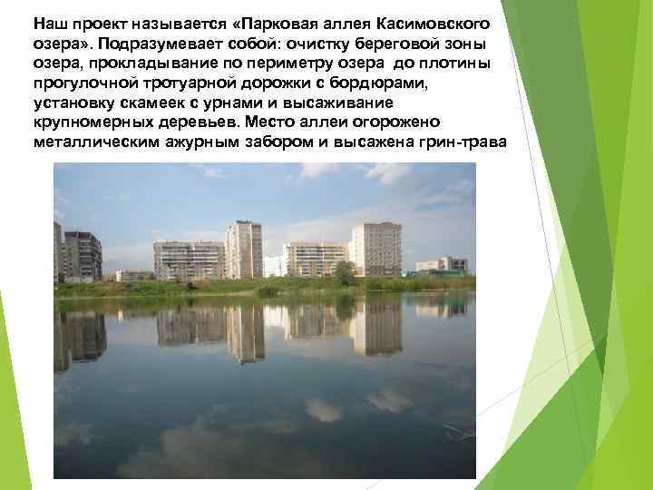 Наш проект называется «Парковая аллея Касимовского озера» . Подразумевает собой: очистку береговой зоны озера,