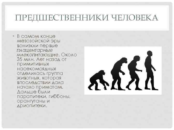 ПРЕДШЕСТВЕННИКИ ЧЕЛОВЕКА • В самом конце мезозойской эры вонизкли первые плацентарные млекопитающие. Около 35