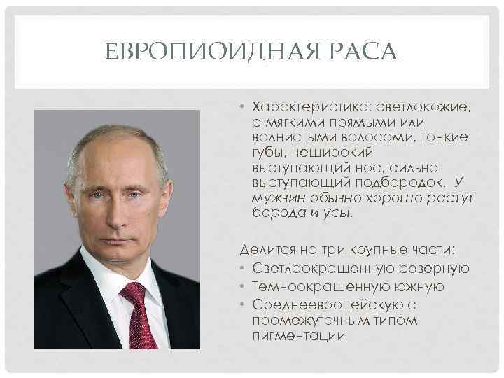 ЕВРОПИОИДНАЯ РАСА • Характеристика: светлокожие, с мягкими прямыми или волнистыми волосами, тонкие губы, неширокий