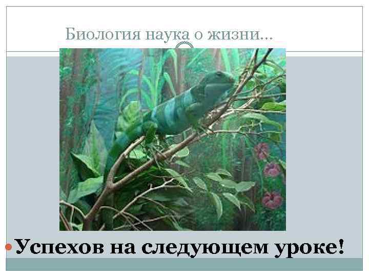 Биология наука о жизни… Успехов на следующем уроке! 