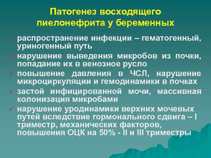 Патогенез восходящего пиелонефрита у беременных ü ü ü распространение инфекции – гематогенный, уриногенный путь