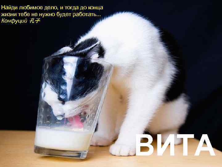 Найди любимое дело, и тогда до конца жизни тебе не нужно будет работать. .