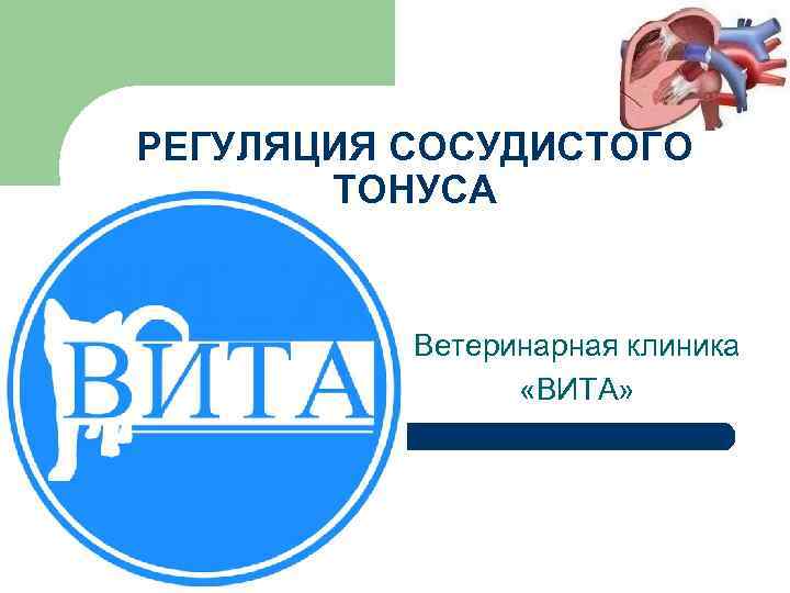 РЕГУЛЯЦИЯ СОСУДИСТОГО ТОНУСА Ветеринарная клиника «ВИТА» 