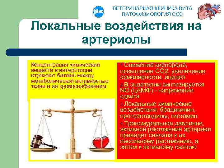 ВЕТЕРИНАРНАЯ КЛИНИКА ВИТА ПАТОФИЗИОЛОГИЯ ССС Локальные воздействия на артериолы Концентрация химический веществ в интерстиции
