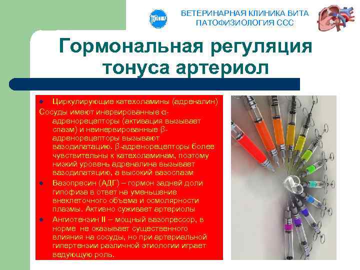 ВЕТЕРИНАРНАЯ КЛИНИКА ВИТА ПАТОФИЗИОЛОГИЯ ССС Гормональная регуляция тонуса артериол Циркулирующие катехоламины (адреналин) Сосуды имеют