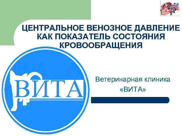 ЦЕНТРАЛЬНОЕ ВЕНОЗНОЕ ДАВЛЕНИЕ КАК ПОКАЗАТЕЛЬ СОСТОЯНИЯ КРОВООБРАЩЕНИЯ Ветеринарная клиника «ВИТА» 