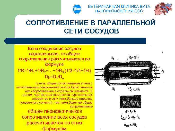 ВЕТЕРИНАРНАЯ КЛИНИКА ВИТА ПАТОФИЗИОЛОГИЯ ССС СОПРОТИВЛЕНИЕ В ПАРАЛЛЕЛЬНОЙ СЕТИ СОСУДОВ Если соединение сосудов параллельное,