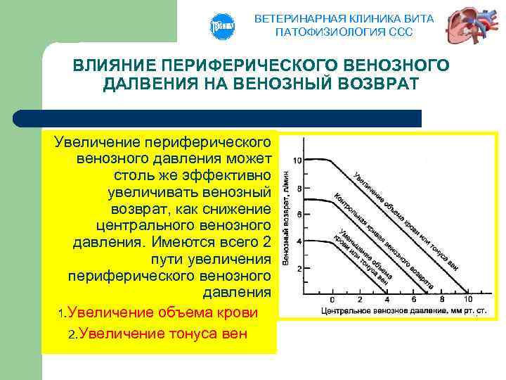 ВЕТЕРИНАРНАЯ КЛИНИКА ВИТА ПАТОФИЗИОЛОГИЯ ССС ВЛИЯНИЕ ПЕРИФЕРИЧЕСКОГО ВЕНОЗНОГО ДАЛВЕНИЯ НА ВЕНОЗНЫЙ ВОЗВРАТ Увеличение периферического