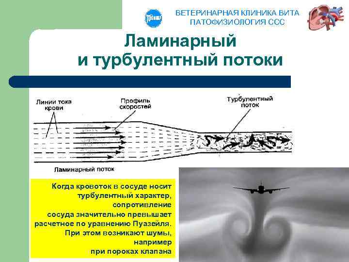 ВЕТЕРИНАРНАЯ КЛИНИКА ВИТА ПАТОФИЗИОЛОГИЯ ССС Ламинарный и турбулентный потоки Когда кровоток в сосуде носит