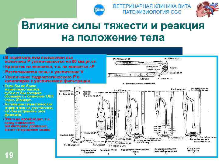 Как повлияло на положение