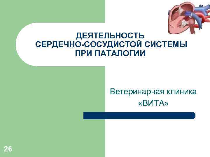 ДЕЯТЕЛЬНОСТЬ СЕРДЕЧНО-СОСУДИСТОЙ СИСТЕМЫ ПРИ ПАТАЛОГИИ Ветеринарная клиника «ВИТА» 26 