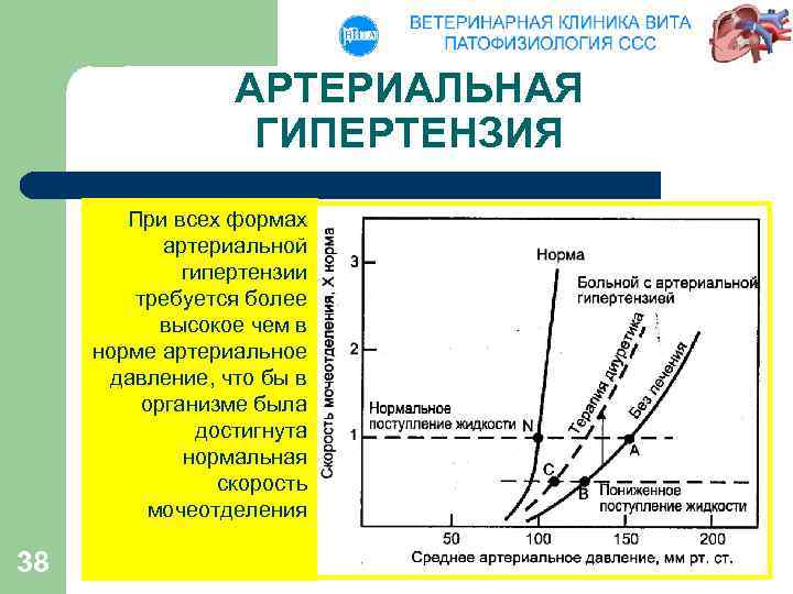 АРТЕРИАЛЬНАЯ ГИПЕРТЕНЗИЯ При всех формах артериальной гипертензии требуется более высокое чем в норме артериальное