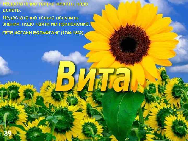 Недостаточно только желать: надо делать. Недостаточно только получить знания: надо найти им приложение. ГЁТЕ