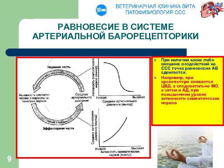 РАВНОВЕСИЕ В СИСТЕМЕ АРТЕРИАЛЬНОЙ БАРОРЕЦЕПТОРИКИ Ø Ø 9 При наличии каких либо внешних воздействий