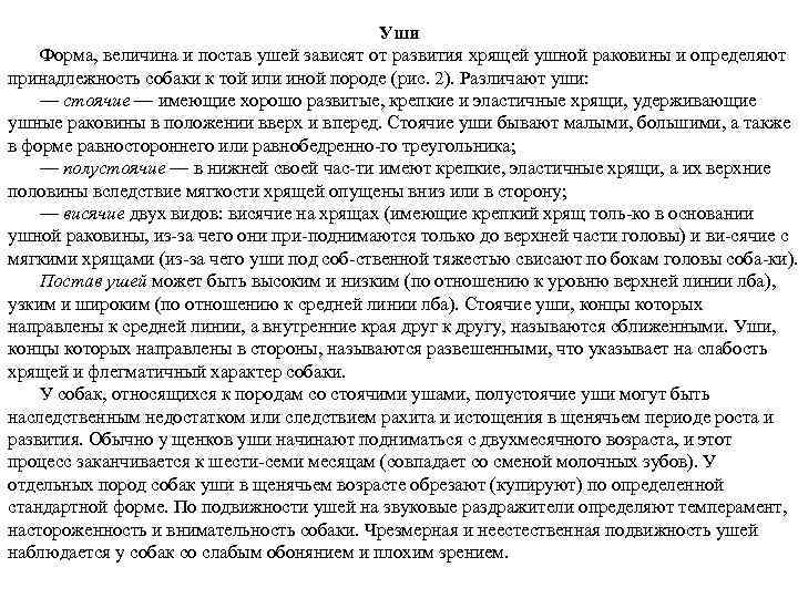 Уши Форма, величина и постав ушей зависят от развития хрящей ушной раковины и определяют