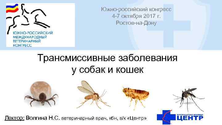 Южно-российский конгресс 4 -7 октября 2017 г. Ростов-на-Дону Трансмиссивные заболевания у собак и кошек