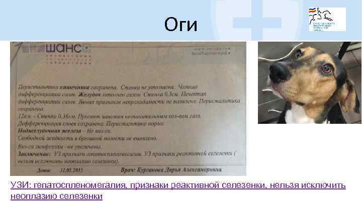 Оги УЗИ: гепатоспленомегалия, признаки реактивной селезенки, нельзя исключить неоплазию селезенки 