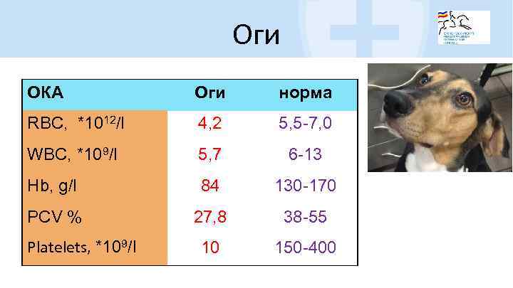 Оги ОКА Оги норма RBC, *1012/l 4, 2 5, 5 -7, 0 WBC, *109/l