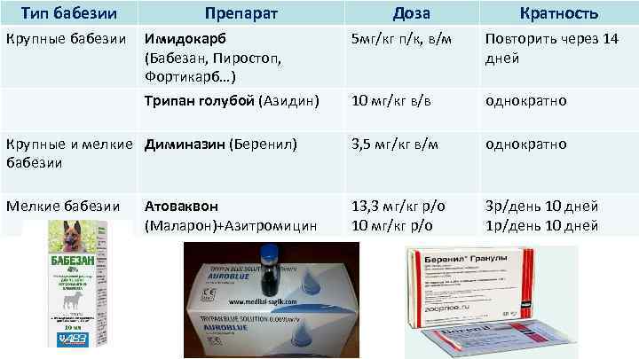 Тип бабезии Крупные бабезии Препарат Доза Кратность Имидокарб (Бабезан, Пиростоп, Фортикарб…) 5 мг/кг п/к,