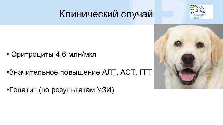 Клинический случай • Эритроциты 4, 6 млн/мкл • Значительное повышение АЛТ, АСТ, ГГТ •