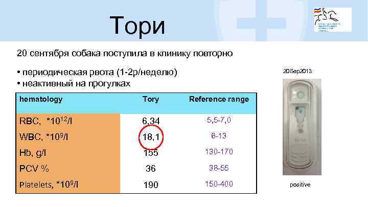 Тори 20 сентября собака поступила в клинику повторно • периодическая рвота (1 -2 р/неделю)