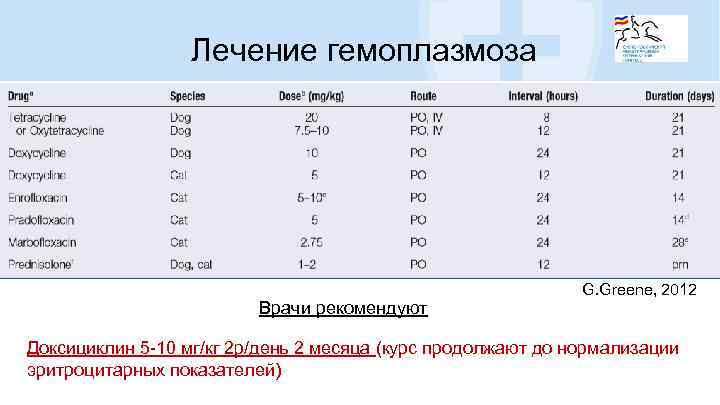 Лечение гемоплазмоза Врачи рекомендуют G. Greene, 2012 Доксициклин 5 -10 мг/кг 2 р/день 2