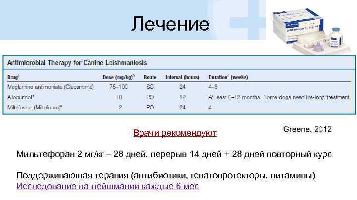 Лечение Врачи рекомендуют Greene, 2012 Мильтефоран 2 мг/кг – 28 дней, перерыв 14 дней