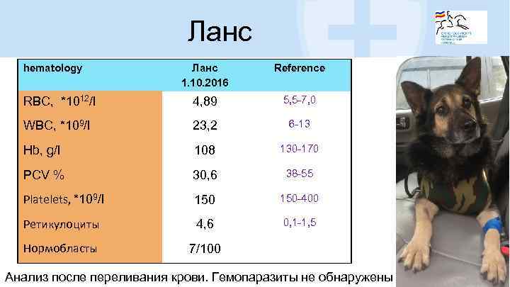 Ланс hematology Ланс 1. 10. 2016 Reference RBC, *1012/l 4, 89 5, 5 -7,