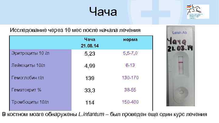 Чача Исследование через 10 мес после начала лечения Чача 21. 08. 14 норма Эритроциты