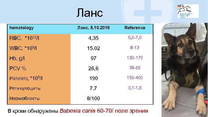 Ланс hematology Ланс, 8. 10. 2016 Reference RBC, *1012/l 4, 35 5, 5 -7,