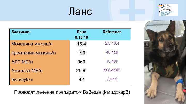 Ланс биохимия Ланс 8. 10. 16 Reference Мочевина ммоль/л 16, 4 2, 5 -10,