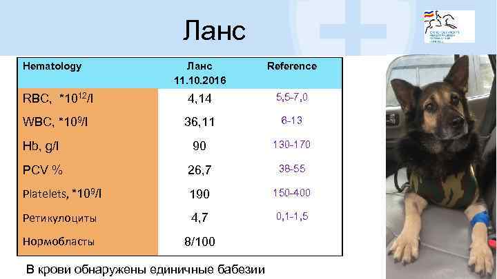 Ланс Hematology Ланс 11. 10. 2016 Reference RBC, *1012/l 4, 14 5, 5 -7,