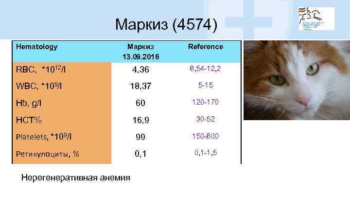 Маркиз (4574) Hematology Маркиз 13. 09. 2016 Reference RBC, *1012/l 4, 36 6, 54