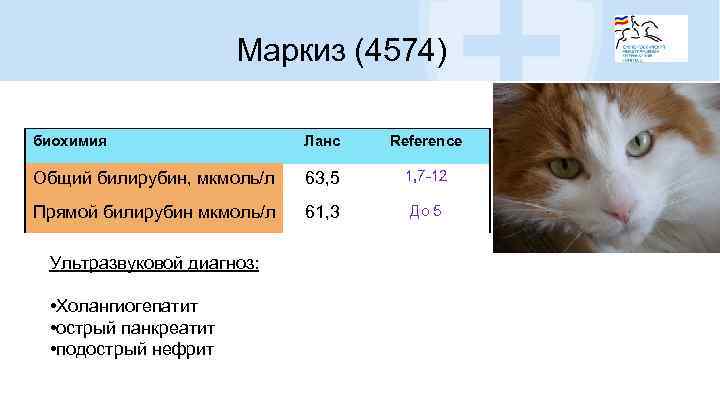 Маркиз (4574) биохимия Ланс Reference Общий билирубин, мкмоль/л 63, 5 1, 7 -12 Прямой