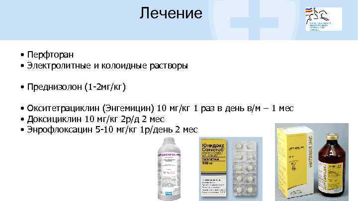 Лечение • Перфторан • Электролитные и колоидные растворы • Преднизолон (1 -2 мг/кг) •