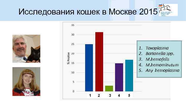 Исследования кошек в Москве 2015 1. 2. 3. 4. 5. 1 2 3 4