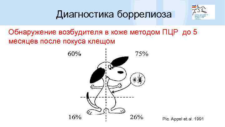 Диагностика боррелиоза Обнаружение возбудителя в коже методом ПЦР до 5 месяцев после покуса клещом