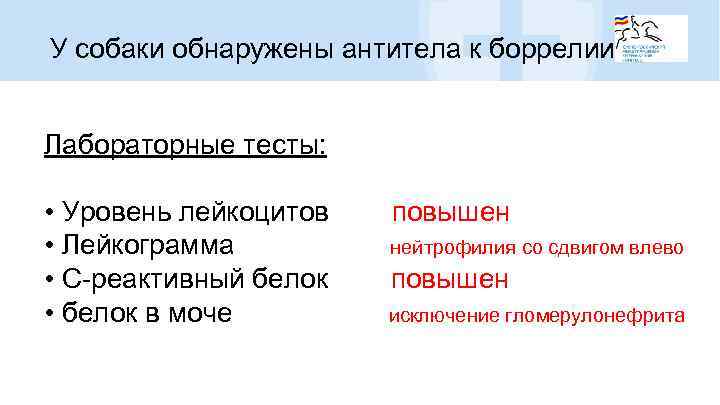 У собаки обнаружены антитела к боррелии Лабораторные тесты: • Уровень лейкоцитов повышен • Лейкограмма