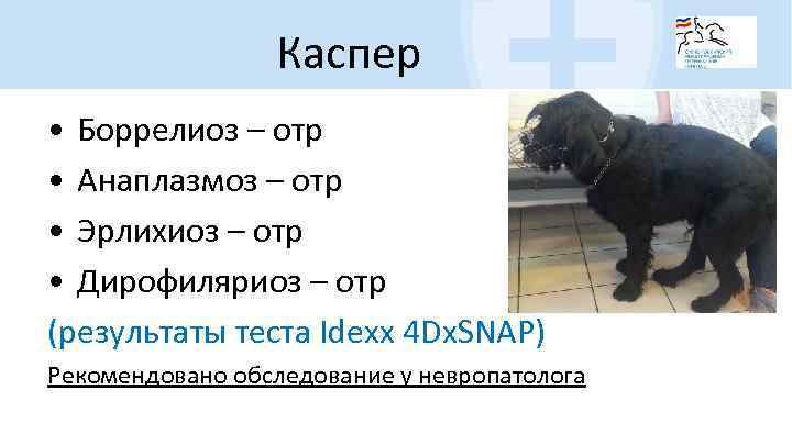 Каспер • Боррелиоз – отр • Анаплазмоз – отр • Эрлихиоз – отр •