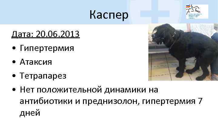 Каспер Дата: 20. 06. 2013 • Гипертермия • Атаксия • Тетрапарез • Нет положительной