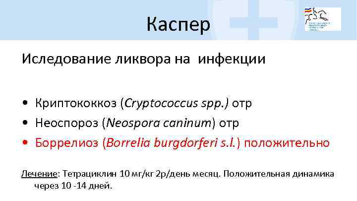 Каспер Иследование ликвора на инфекции • Криптококкоз (Cryptococcus spp. ) отр • Неоспороз (Neospora