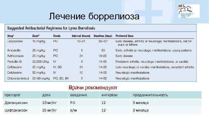 Лечение боррелиоза Врачи рекомендуют препарат доза введение интервал продолжительность Доксициклин 10 мг/кг PO 12