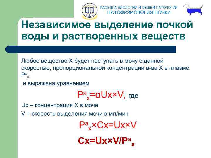 КАФЕДРА БИОЛОГИИ И ОБЩЕЙ ПАТОЛОГИИ ПАТОФИЗИОЛОГИЯ ПОЧКИ Независимое выделение почкой воды и растворенных веществ