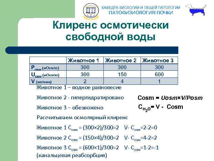 КАФЕДРА БИОЛОГИИ И ОБЩЕЙ ПАТОЛОГИИ ПАТОФИЗИОЛОГИЯ ПОЧКИ Клиренс осмотически свободной воды Роsм (м. Осм/кг)