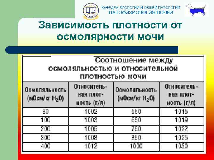 КАФЕДРА БИОЛОГИИ И ОБЩЕЙ ПАТОЛОГИИ ПАТОФИЗИОЛОГИЯ ПОЧКИ Зависимость плотности от осмолярности мочи 